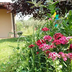 A La Maison , Reggello Italia